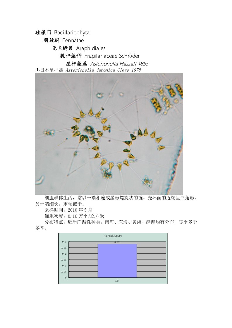 硅藻门