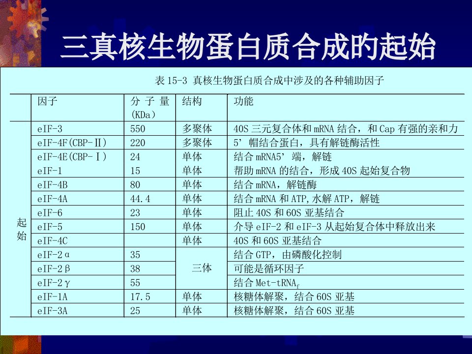 三真核生物蛋白质合成的起始市公开课获奖课件省名师示范课获奖课件