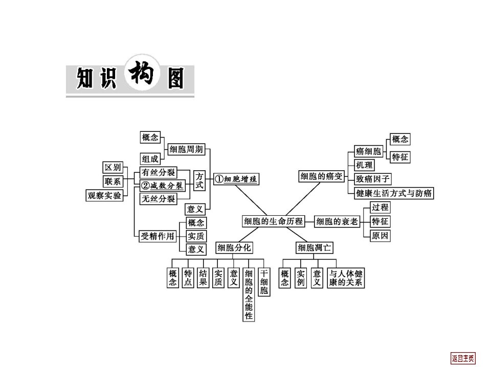 细胞分裂考点中的图文信息转换