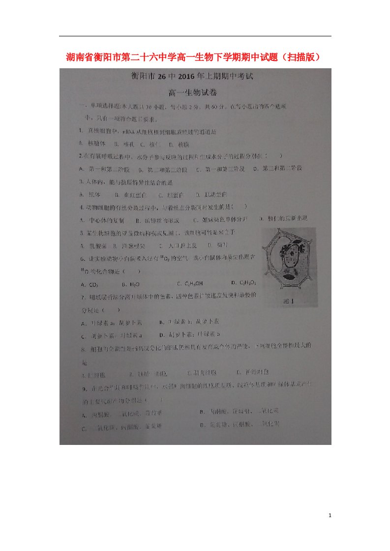 湖南省衡阳市第二十六中学高一生物下学期期中试题（扫描版）