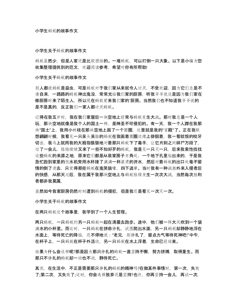 小学生蚂蚁的故事作文