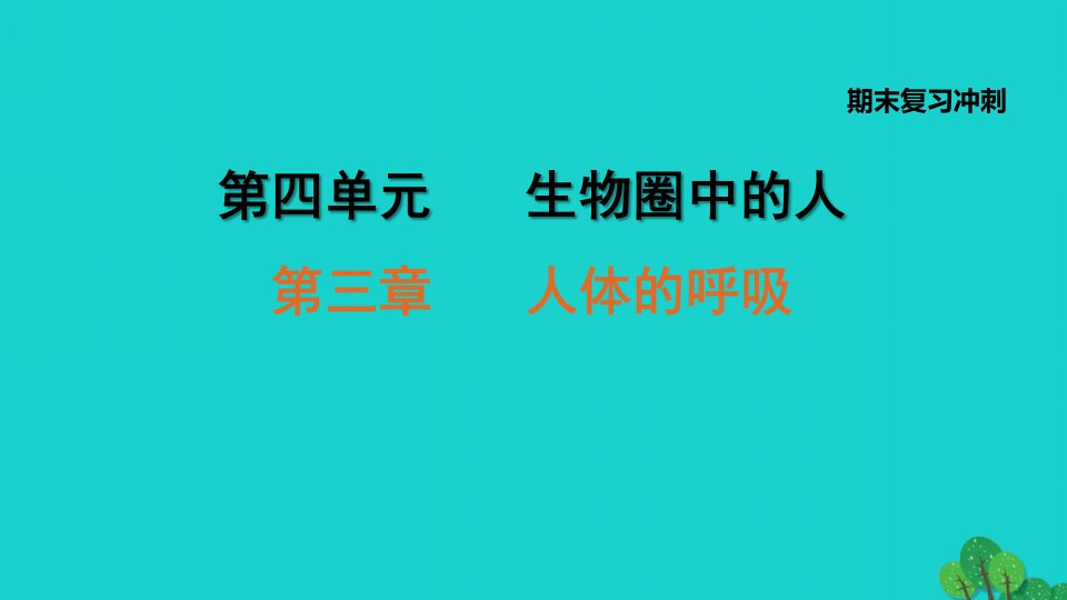 安徽专版2022七年级生物下册第四单元生物圈中的人期末复习冲刺第三章人体的呼吸习题课件新版新人教版