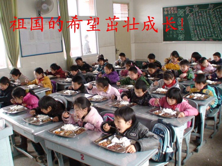 学校食堂餐饮服务食品安全操作规范ppt幻灯片