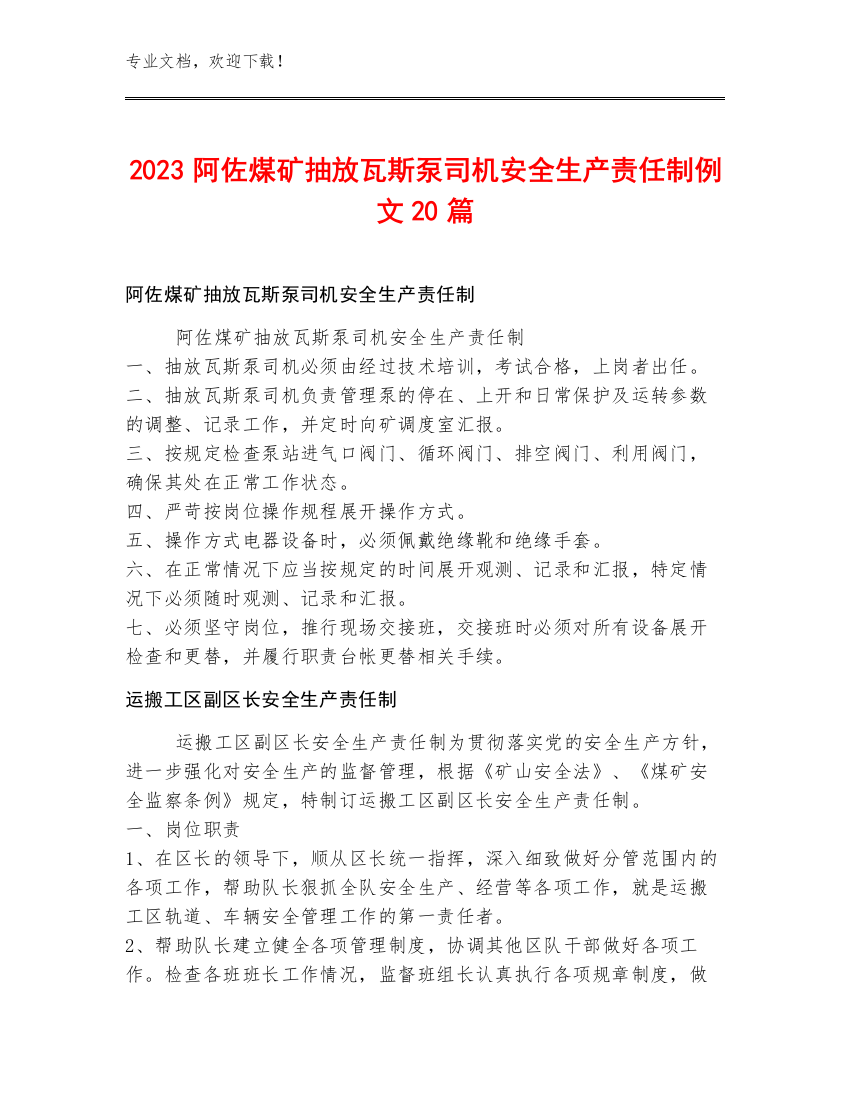 2023阿佐煤矿抽放瓦斯泵司机安全生产责任制例文20篇