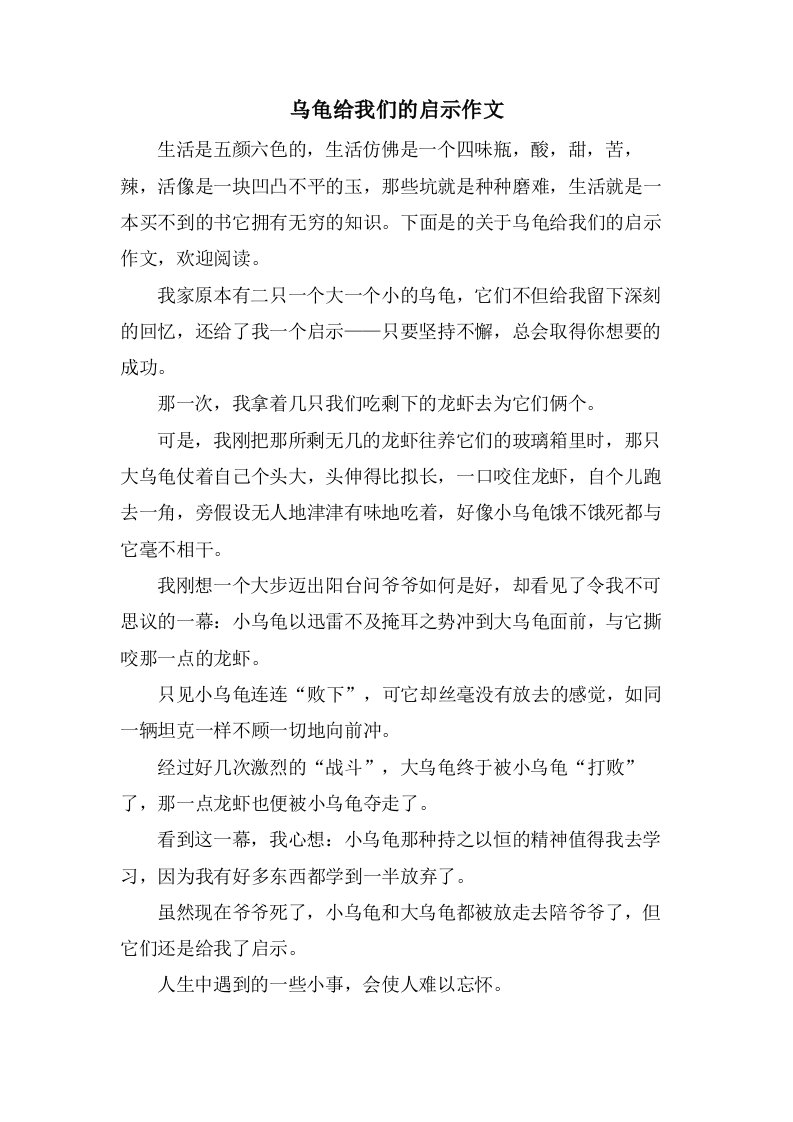 乌龟给我们的启示作文