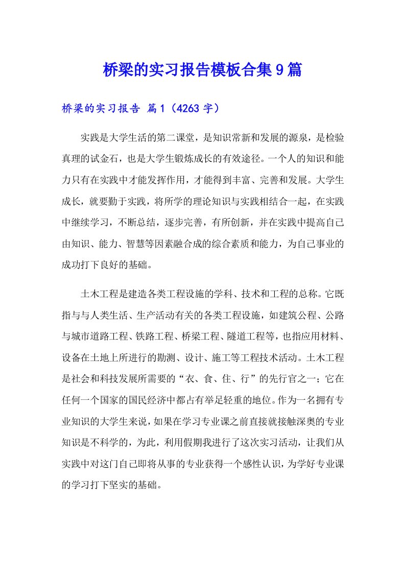 桥梁的实习报告模板合集9篇