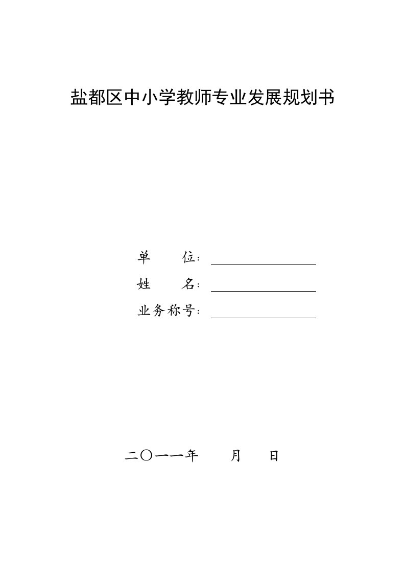 盐都区中小学教师专业发展规划书