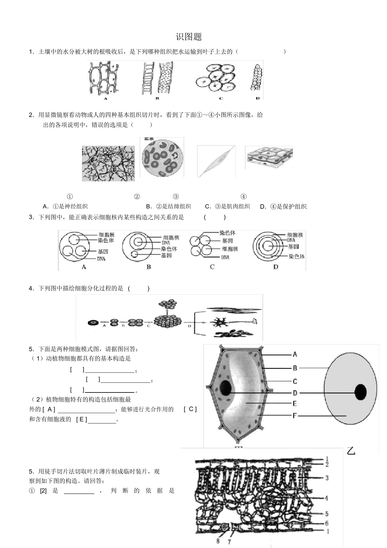 中考生物识图题