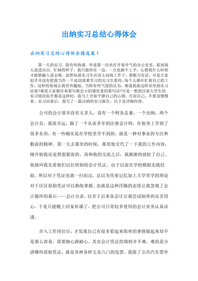 出纳实习总结心得体会