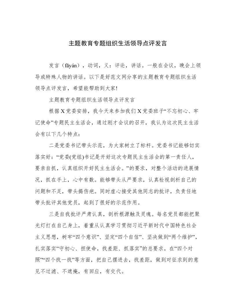 主题教育专题组织生活领导点评发言