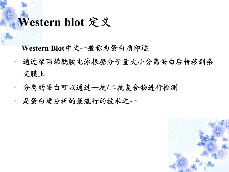 western-blot原理及操作流程