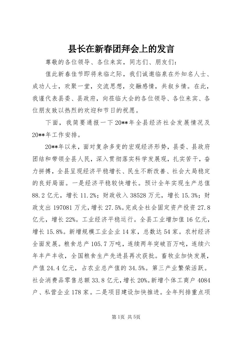 县长在新春团拜会上的发言