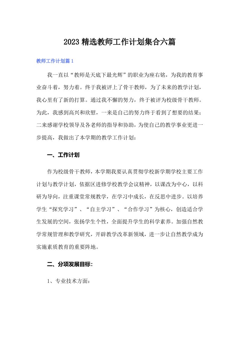 2023精选教师工作计划集合六篇