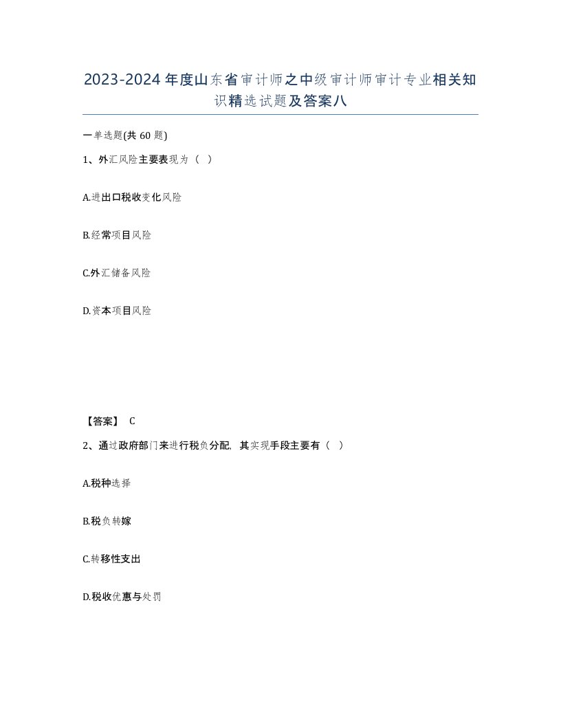 2023-2024年度山东省审计师之中级审计师审计专业相关知识试题及答案八