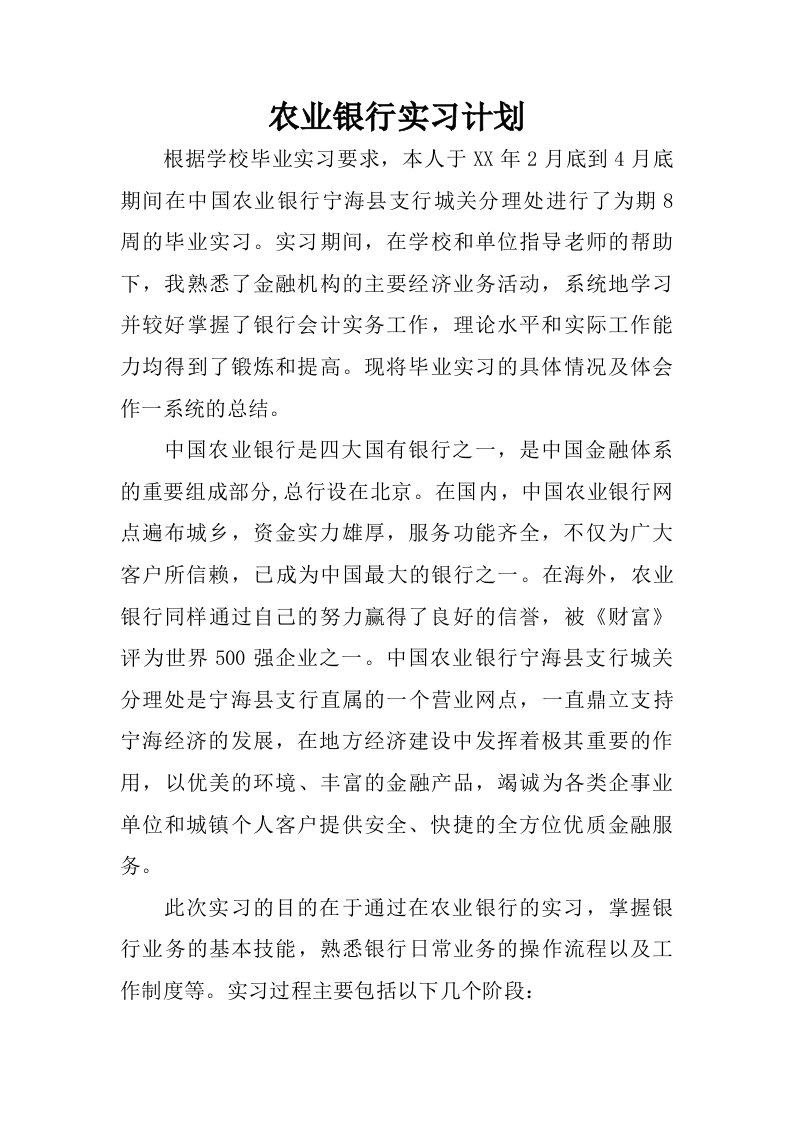 农业银行实习计划.doc