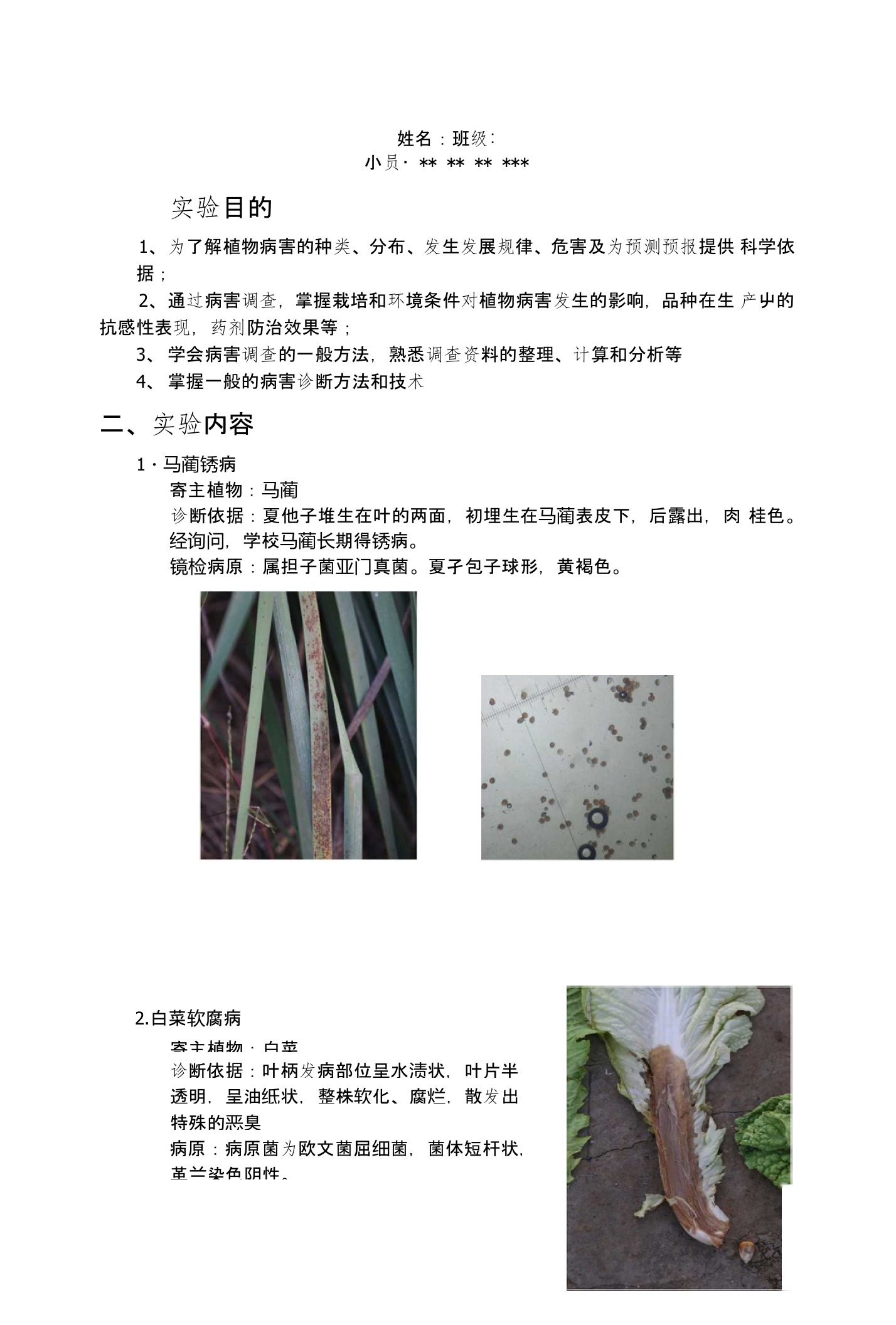 植物病理学实验课程作业—植物病害调查与诊断报告