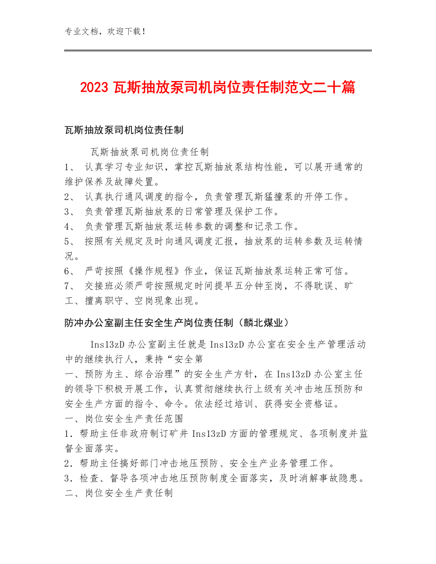 2023瓦斯抽放泵司机岗位责任制范文二十篇