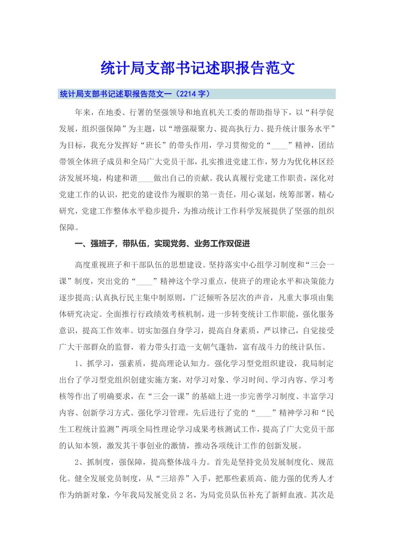 统计局支部书记述职报告范文