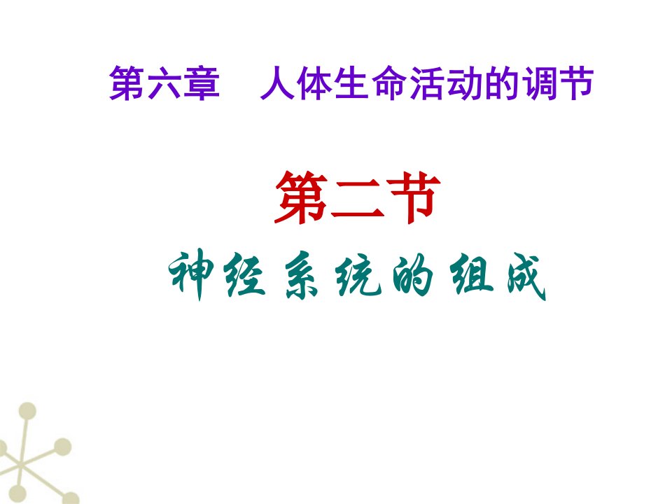 新人教版七下神经系统的组成ppt课件