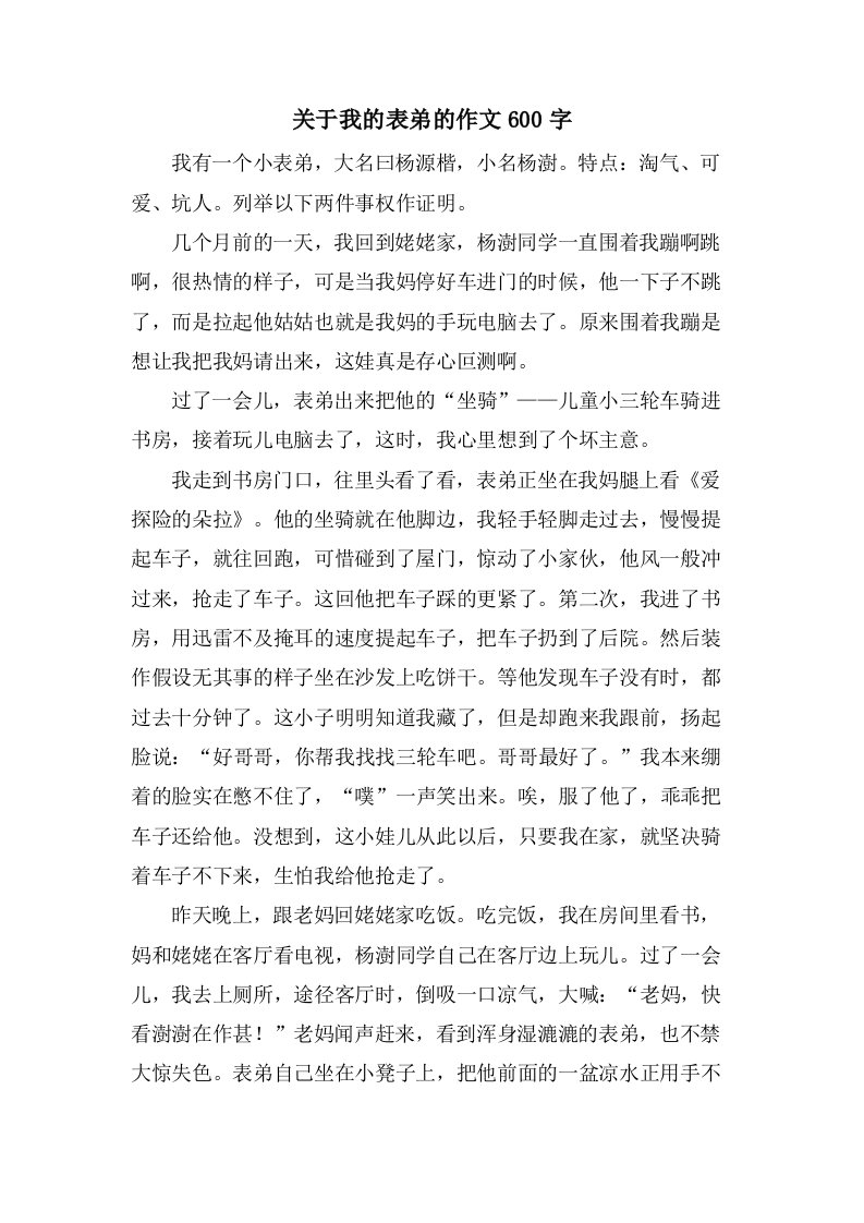 关于我的表弟的作文600字