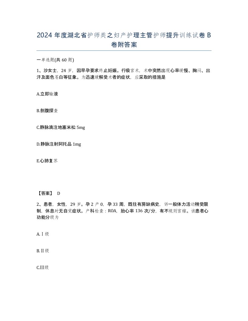 2024年度湖北省护师类之妇产护理主管护师提升训练试卷B卷附答案