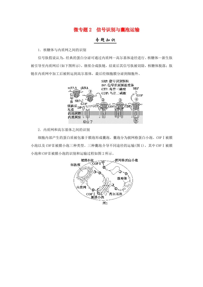 2025届高考生物一轮总复习学生用书必修1第二单元细胞的结构和物质运输微专题2信号识别与囊泡运输