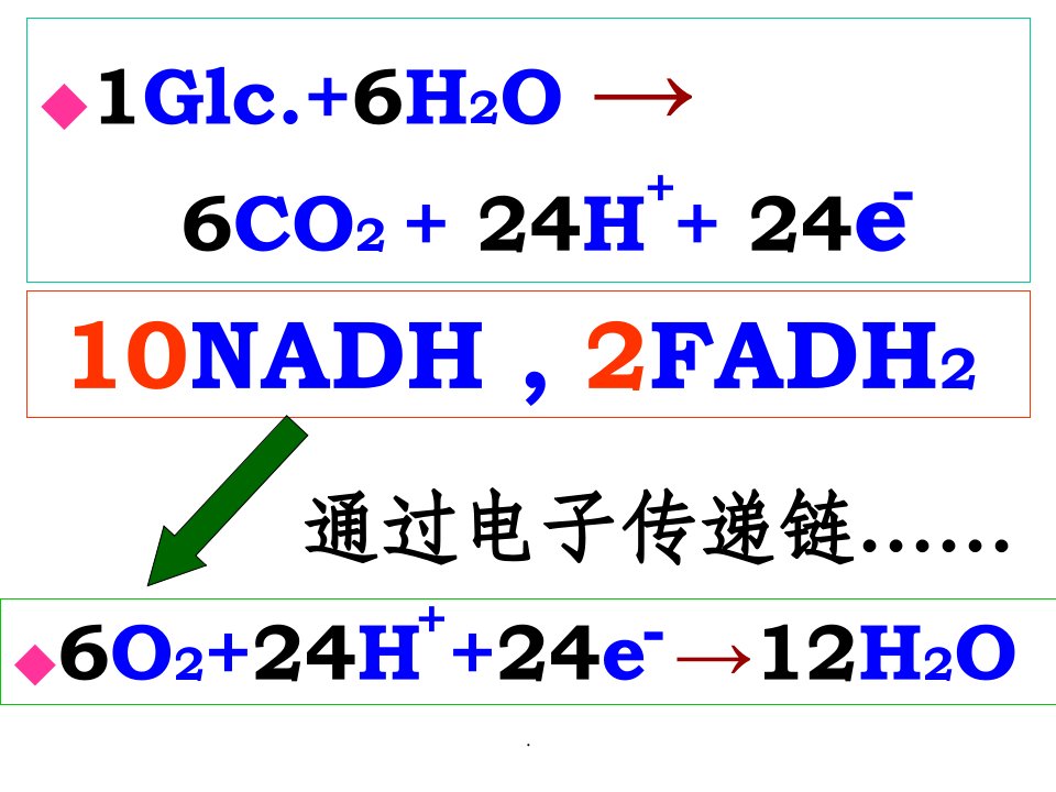 氧化磷酸化-化学渗透学说课件