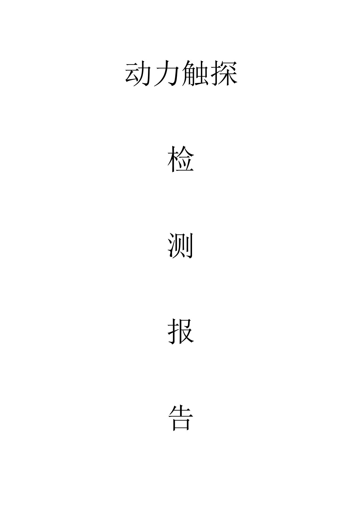 轻型重型圆锥动力触探检测报告