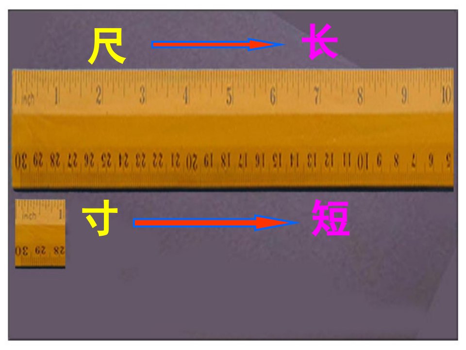 人教版四年级语文上册《尺有所短寸有所长》