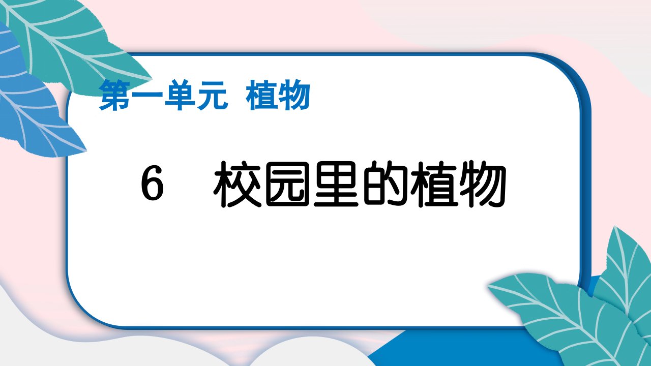 2023一年级科学上册植物1.6校园里的植物作业课件教科版