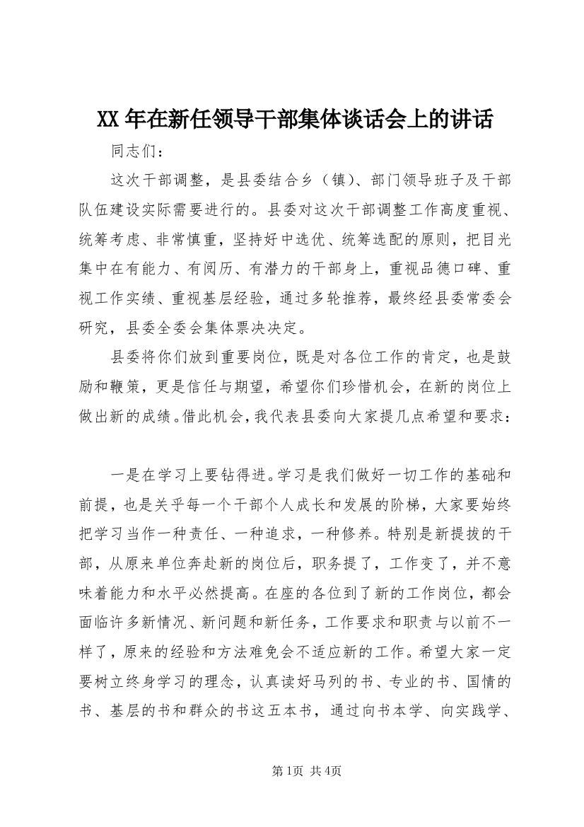 XX年在新任领导干部集体谈话会上的讲话