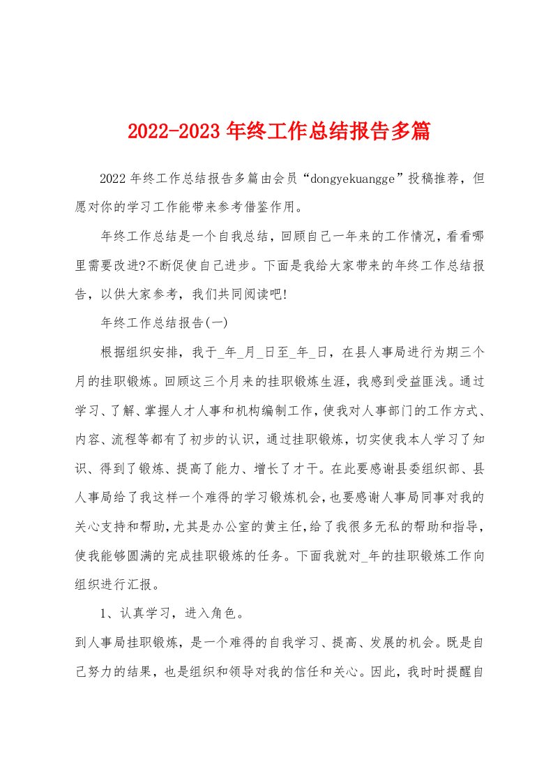 2022-2023年终工作总结报告多篇