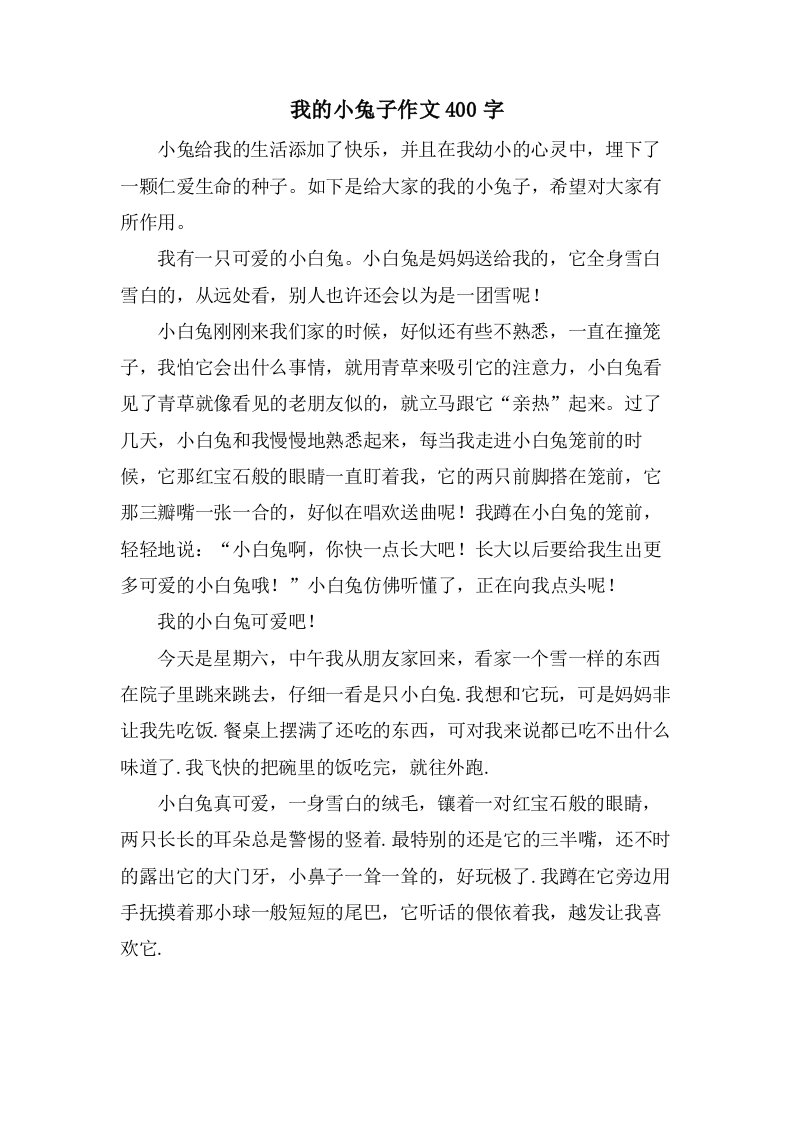 我的小兔子作文400字