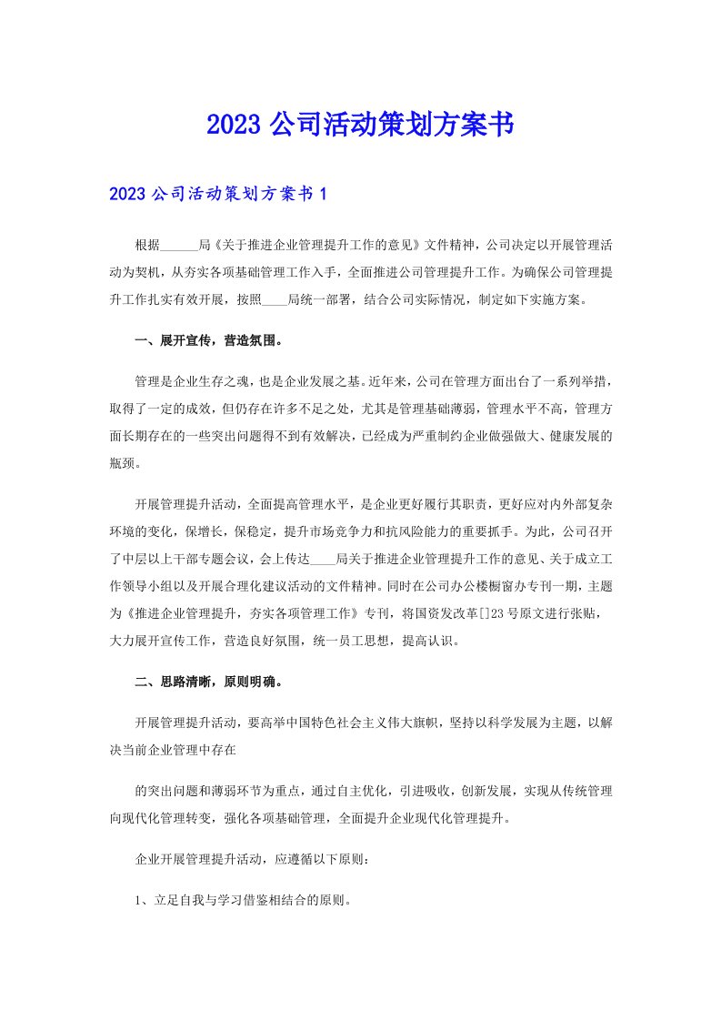 2023公司活动策划方案书