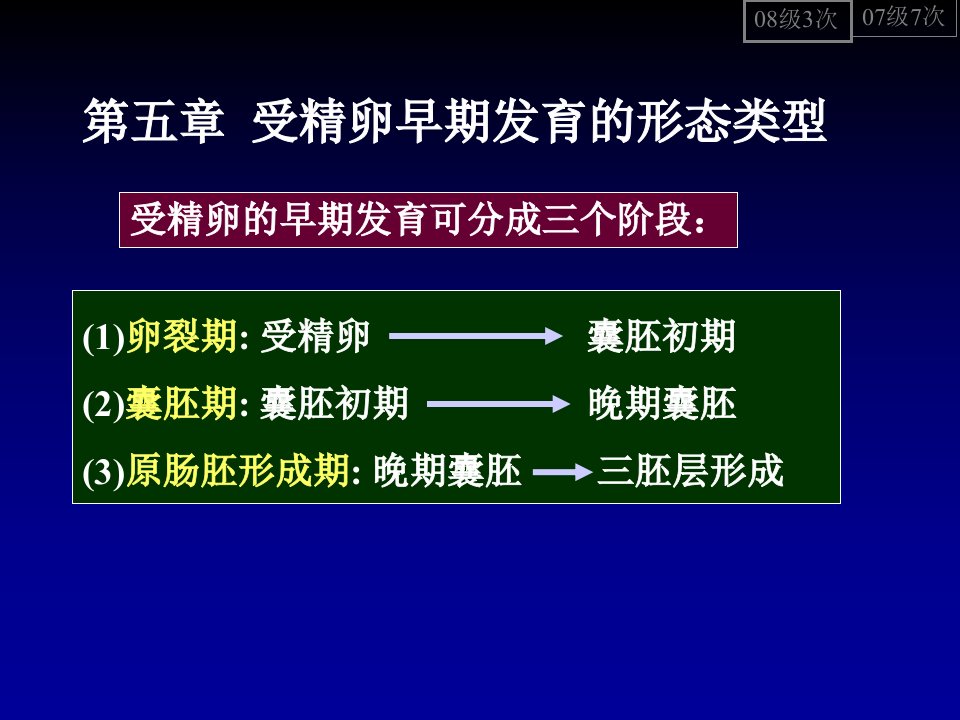 早期发育的形态类型