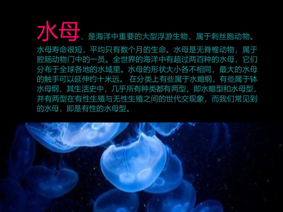 海洋世界租赁展览生物一览表ppt课件