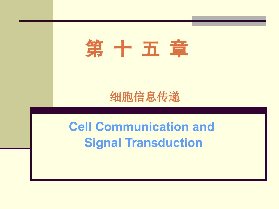 《细胞信息受体》PPT课件