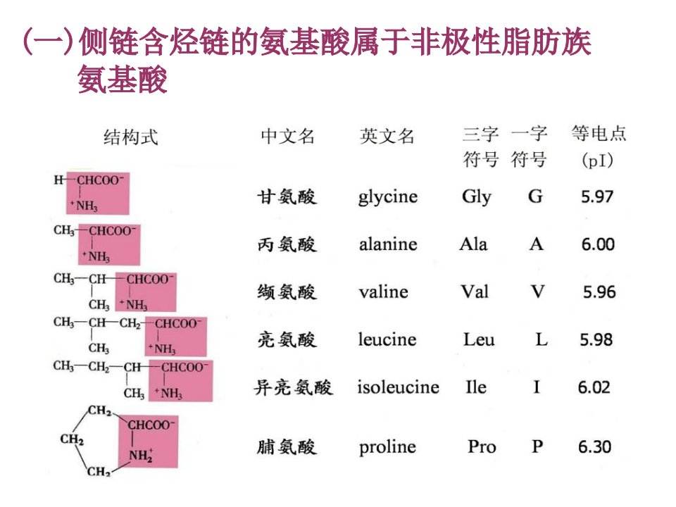 药学专业生物化学概述课件