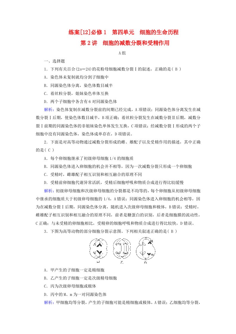 新高考适用2024版高考生物一轮总复习练案12必修1分子与细胞第四单元细胞的生命历程第2讲细胞的减数分裂和受精作用