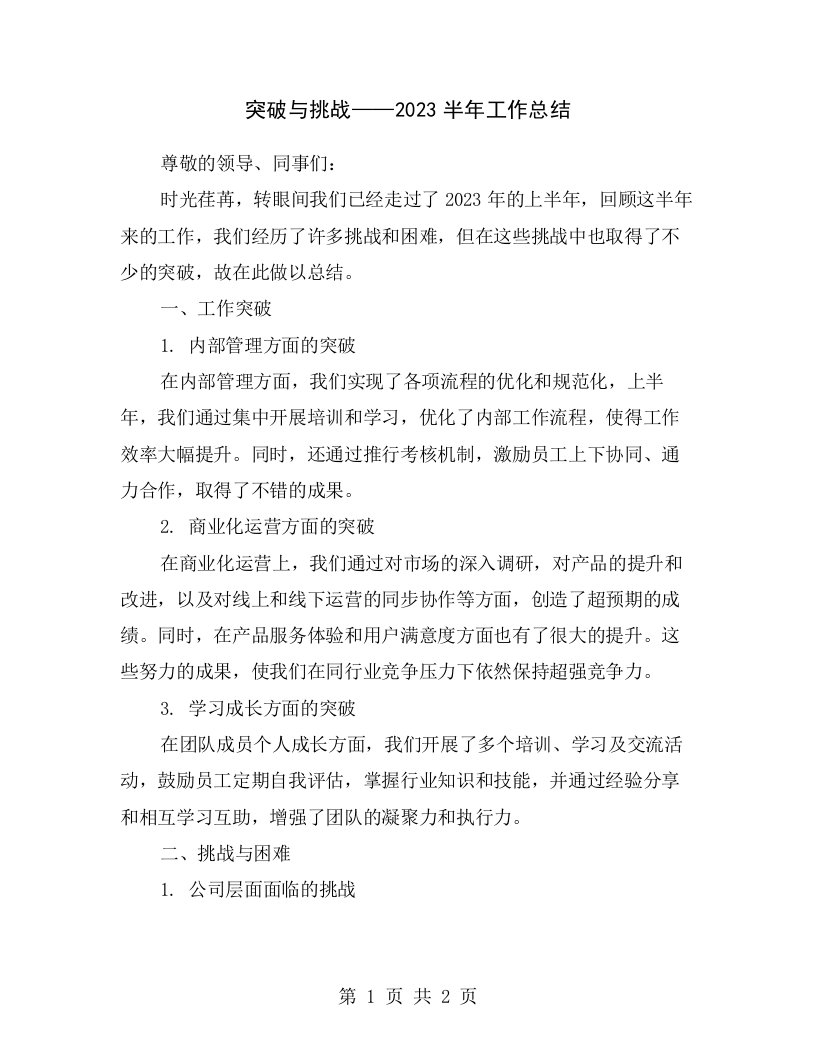 突破与挑战——2023半年工作总结