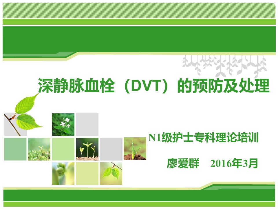 深静脉血栓(DVT)的预防及处理