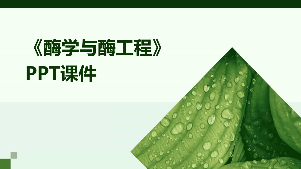 《酶学与酶工程》课件