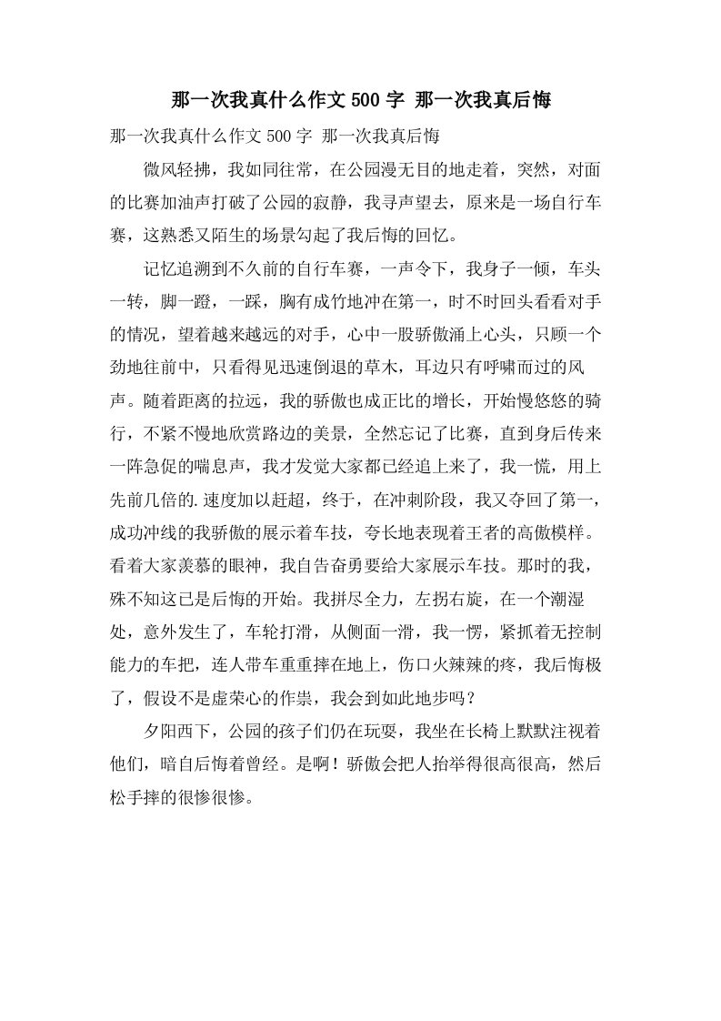 那一次我真什么作文500字