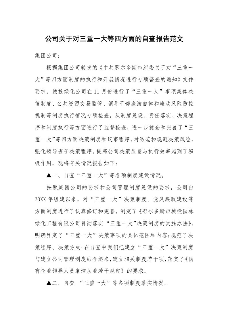 公司关于对三重一大等四方面的自查报告范文