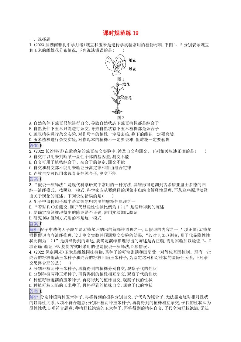 适用于新教材2024版高考生物一轮总复习课时规范练19孟德尔的豌豆杂交实验一新人教版