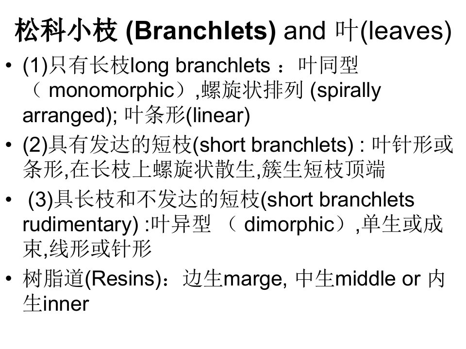 资料]裸子植物温习资料