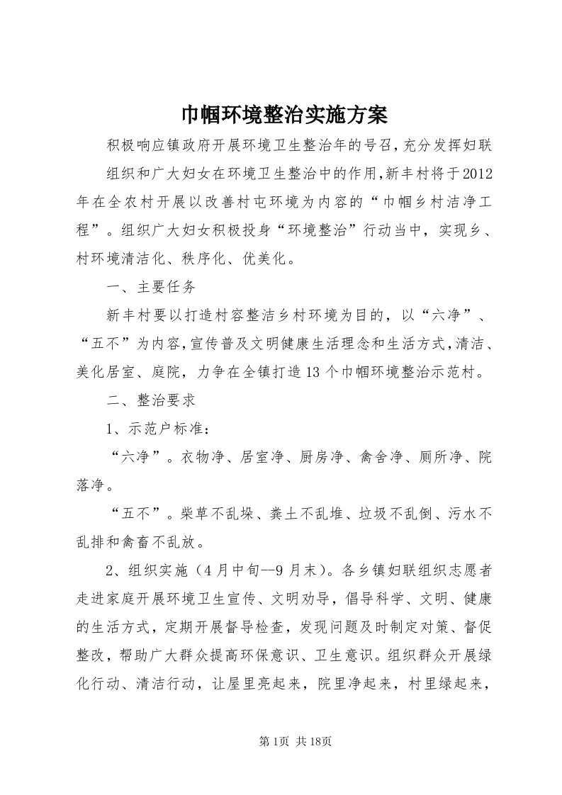 3巾帼环境整治实施方案