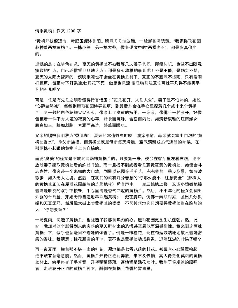 情系黄桷兰作文1200字