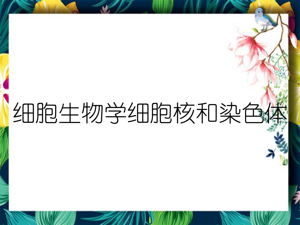 细胞生物学细胞核和染色体