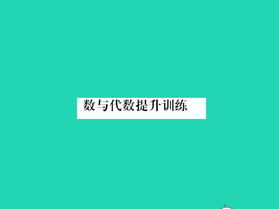 2022春六年级数学下册总复习1数与代数提升训练习题课件北师大版